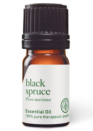 Organic Black Spruce Essential Oil (Picea Mariana)